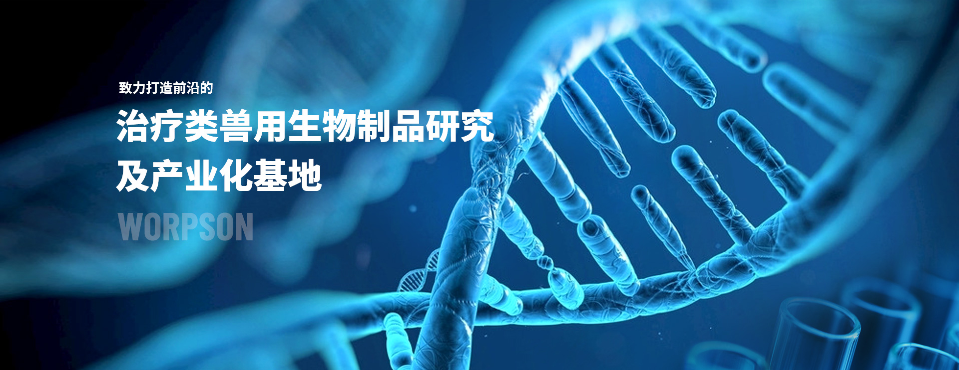 洛陽(yáng)沃普森生物工程有限公司